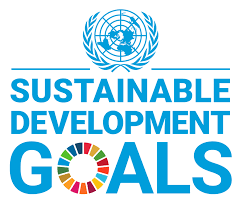 Sdg logo.png