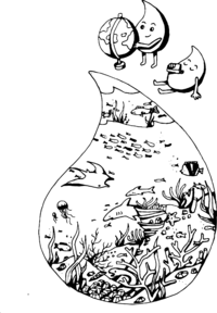 Seite-06_Wasser-und-wo-wir-es-finden.png
