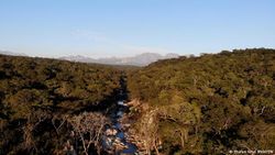 MOZ Cimanimani-Nationalpark.jpg