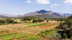 MOZ Cimanimani-Landwirtschaft.jpg