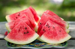 Zambia watermelon.jpg